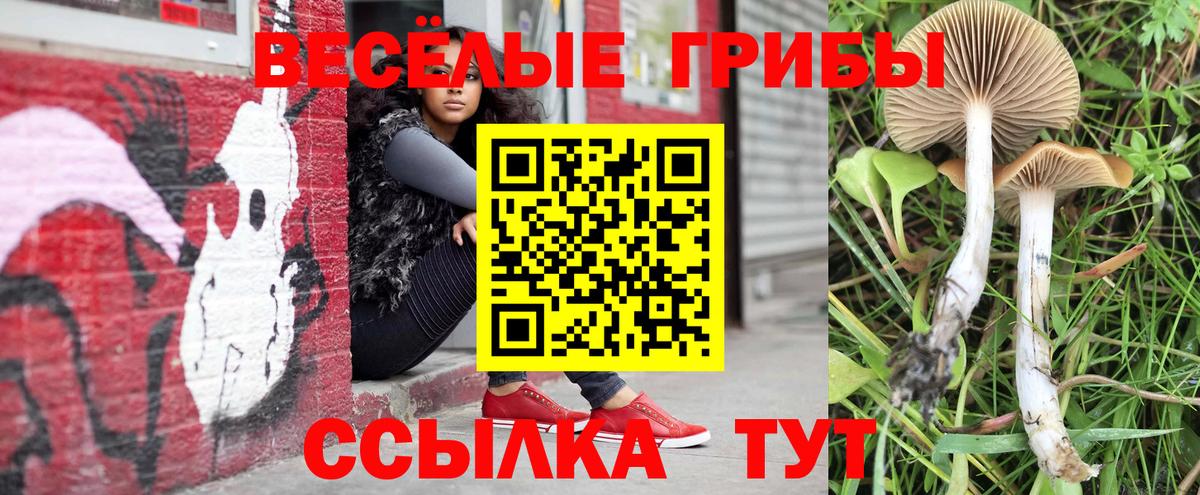 Галлюциногенные грибы Magic Shrooms Якутск