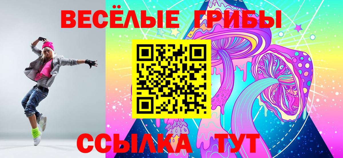 Псилоцибиновые грибы MAGIC MUSHROOMS  Вход с VPN  что такое   Якутск 